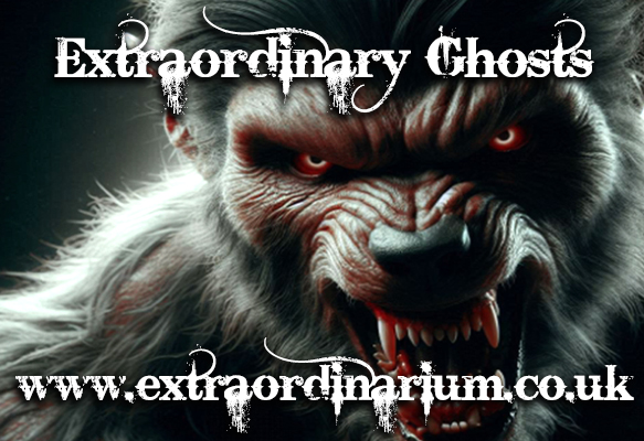 extraordinarium.co.uk